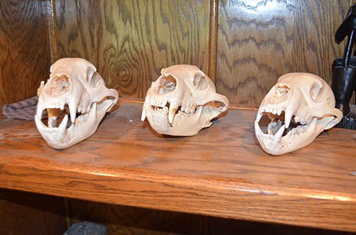 Property photo 48 - Personal Property Auction, Tractor & Implements, Cars, Lawn & Garden, Hunting & Fishing, Guns, Antiques & Collectibles, Household
